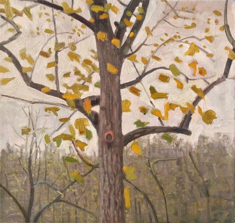 Chatwood Grey Day, Tree with Yellow Leaves, 2015