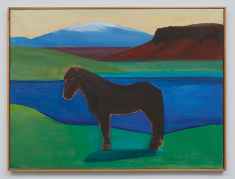 Louisa Matth&iacute;asd&oacute;ttir Brown Horse, 1987