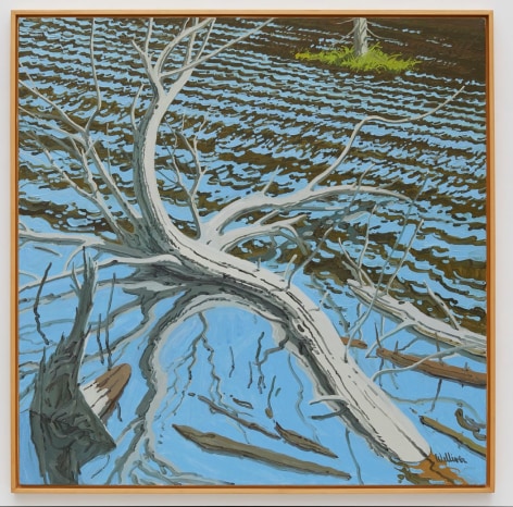 Neil Welliver Drowned Tree, 1983