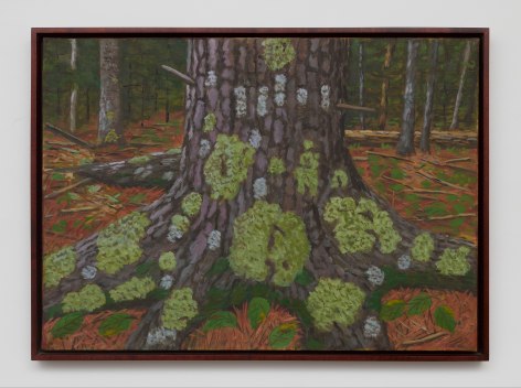 Rudy Burckhardt Lichen Tree, 1996