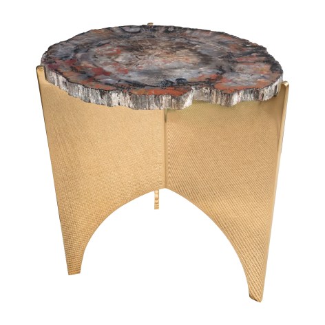 Petrified Wood Table with Mirrored Polished Bronze Base