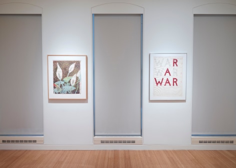 Polke | Nauman: Drawings from the Froehlich Collection