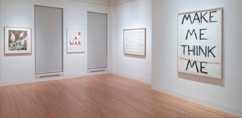 Polke | Nauman: Drawings from the Froehlich Collection