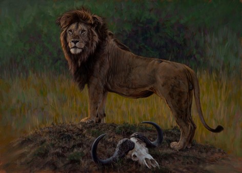 Heart of a Lion, 2016