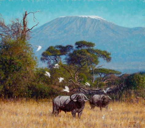 Buffalo Near Kilimanjaro, 2018