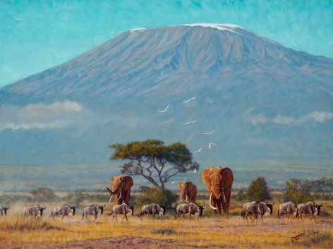 Near the Foothills of Kilimanjaro, 2019