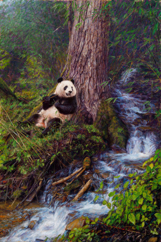 Panda Shangri-La, 2013