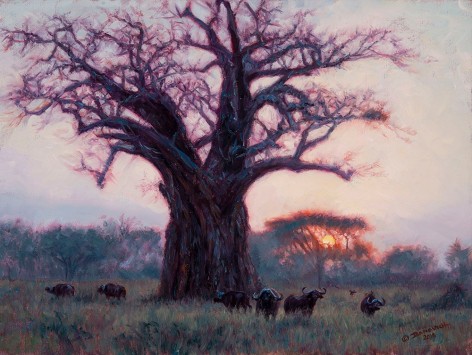 Baobab and Buffalo, 2016