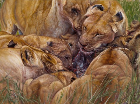 Spoils of the Hunt, 2012