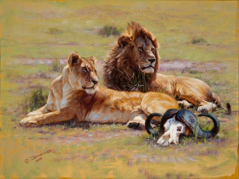 Lions in the Mara, 2015