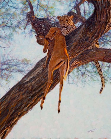 Leopard Kill in the Acacia, 2014