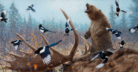 Grizzly Encounter II, 2015