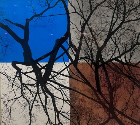 Wm. Dilworth, WovenLimbs FourColor, 2024, Ink on photographs, 14&quot; x 15&quot; at Anita Rogers Gallery
