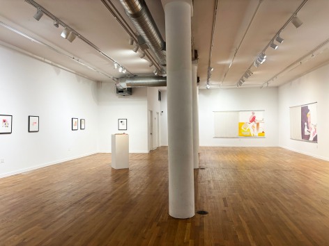 Installation view of Shirin Mirjamali: Hidden longing (494 Greenwich Street)