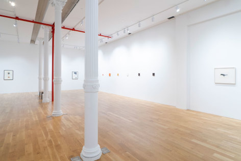 Installation view of Summer Exhibition Anita Rogers Gallery