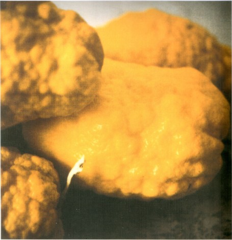 Twombly, Lemons, Gaeta, 2005