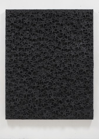 Nabil Nahas . Untitled, 2011. Echinoderms &amp; acrylic on canvas, 60 x 48 inches (152.4 x 121.9 cm)