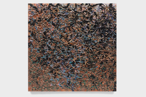 Nabil Nahas . Untitled, 1993. Echinoderms &amp; acrylic on wood, 60 x 60 inches (152.4 x 152.5 cm)