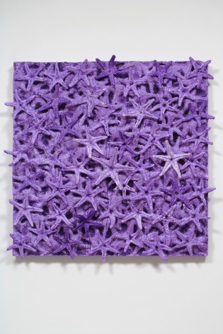 Nabil Nahas . Tyrian Purple, 2010. Acrylic on canvas, 48 x 48 inches (121.9 x 121.9 cm)