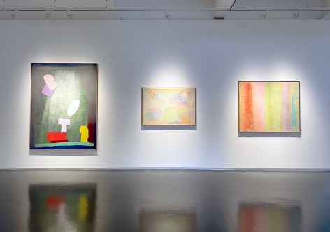 Robert Natkin: A Better Place
