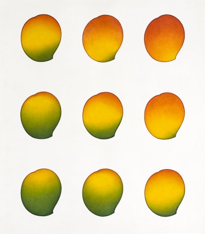 Olivia Fraser, Mango, 2023, pigment & Arabic gum on handmade paper, 61 x 53.3 cm (24 x 21 inches)