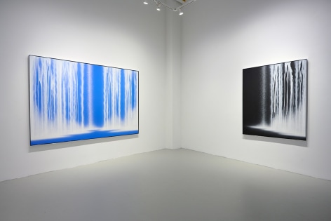 Hiroshi Senju: Physical/Metaphysical