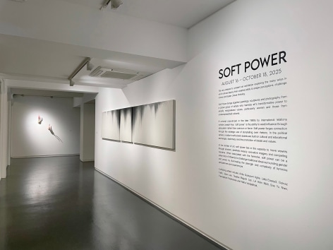 Soft Power