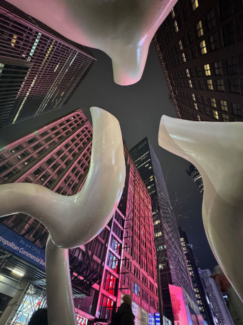 Steve Tobin: New York Roots