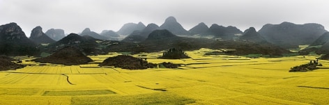 Canola Fields #2, Luoping, Yunnan Province, China, 2011, chromogenic color print,&nbsp;30.8 x 96 inches/78.2 x 243.8 cm