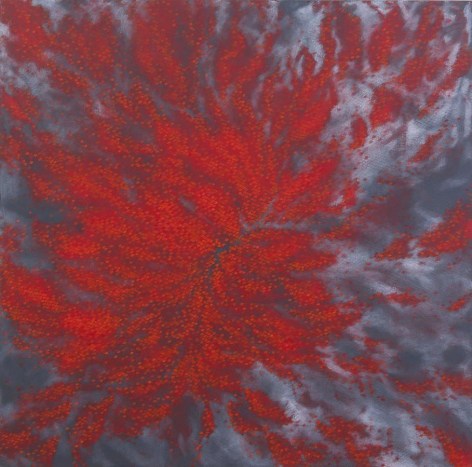 FireFire, 2011, acrylic on canvas, 60 x 60 inches