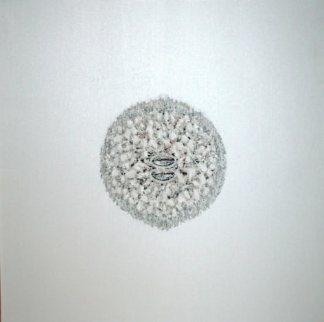 Sohan Qadri Spirited Fossil	1974	Oil on canvas	32 x 32"