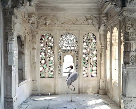 Karen Knorr, A Place Like Amravati 2, Udaipur City Palace, 2011, colour pigment print on Hahnem&uuml;hle Fine Art Pearl Paper, 80 x 100 cm (31.5 x 39.4 inches)
