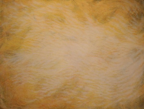 Movement VII, 2007, Acrylic on canvas, 48 x 63&quot;