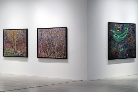 Edward Burtynsky