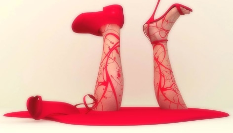 Red shoe dairy, 2007,  68cm x 120cm