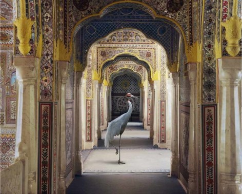 The Holding of Vigilance, Samode Palace, 2010 Hahnemühle ink jet print, 48 x 60 inches/122 x 152 cm
