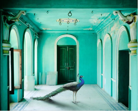 Karen Knorr, The Queen&#039;s Room, Zanana, Udaipur City Palace, 2010, colour Pigment print on Hahnemühle Fine Art Pearl Paper, 56 x 72 inches/146 x 183 cm