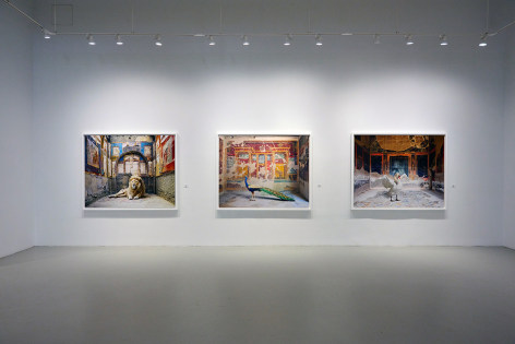 Karen Knorr: Intersections