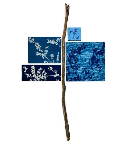 Susan Weil and José Betancourt, Leafing Blue, 2019, cyanotype on canvas on wood