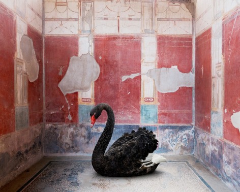 Karen Knorr, Leda's Seduction, House of the Red Walls, Pompeii, 2023, pigment print on Hahnemühle FineArt Photo Rag Baryta 315gsm paper, 58 x 72.5 inches/147.3 x 184.2 cm