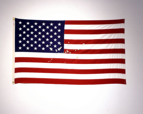 Michael Petry, Monument to the Unknown Soldier: Portrait of an American Patriot, 2007, American Flag and freshwater pearls, 36 x 62&quot;