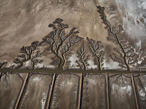 Edward Burtynsky, Colorado River Delta #10, Abandoned Shrimp Farm, Sonora, Mexico, 2012, Chromogenic color print, 48 x 64 inches