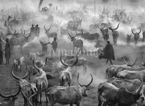 , Sebasti&atilde;o Salgado. Dinka cattle camp of Amak. Southern Sudan. 2004. Gelatin silver print. 180 x 125 cm.