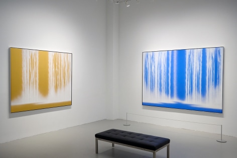 Hiroshi Senju: Physical/Metaphysical