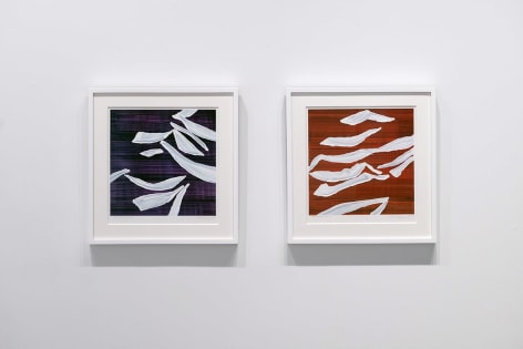 Color Immersion: Chromatic Expressions from the 1960s to the Present