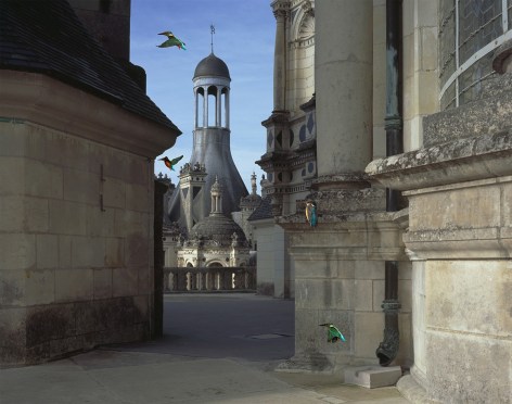 Karen Knorr, Kingfishers, Château de Chambord, 2006, pigment print on Hahnemühle FineArt Photo Rag Baryta 315gsm paper, 48 x 60 inches/122 x 152.4 cm