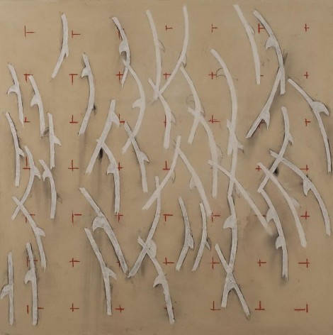 Envy Is Envy, 2010, pencil, powdered pigment, acrylic on canvas, 72 x 72 inches