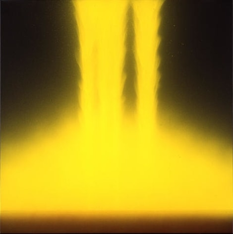 Hiroshi Senju Falling Yellow, 2006