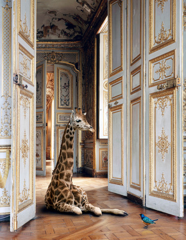 Karen Knorr, The Grand Monkey Room 3 (Château de Chantilly), 2006, pigment print on Hahnemühle FineArt Photo Rag Baryta 315gsm paper, 112 x 90 cm (44.25 x 35.4 inches)