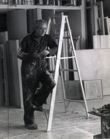 Artist Robert Natkin